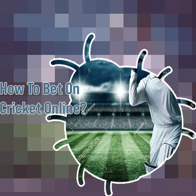 Betting website cricket
